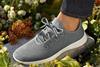 allbirds
