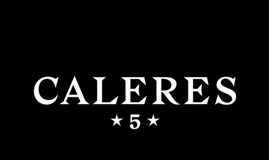 Caleres raises sales outlook after record Q2 | Article | Shoe Intelligence