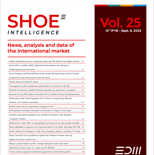 Shoe Intelligence Executive Edition: Vol. 25 - 17+18 | PDF Newsletter ...