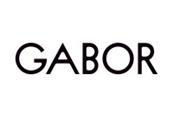 Gabor linkedIn logo