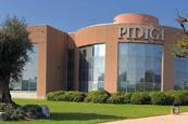Pidigi photo