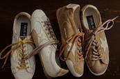 golden goose